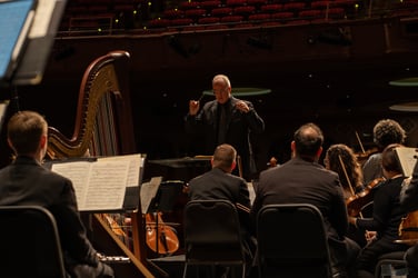 An orchestra conductor leads musicians on a dimly lit stage, with a harp and string players in view. The elegant theater background features red seating and soft lighting, enhancing the performance's ambiance.