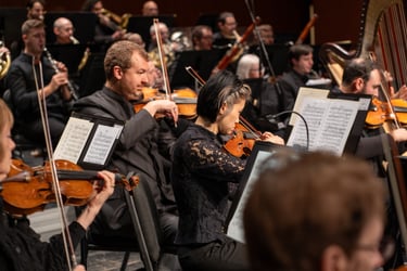 An orchestra performs on stage, featuring violinists in focus with sheet music in front of them. Wind and brass players are seen in the background, adding depth to the vibrant ensemble scene.